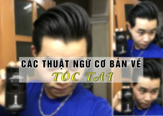 Các thuật ngữ cơ bản về tóc tai