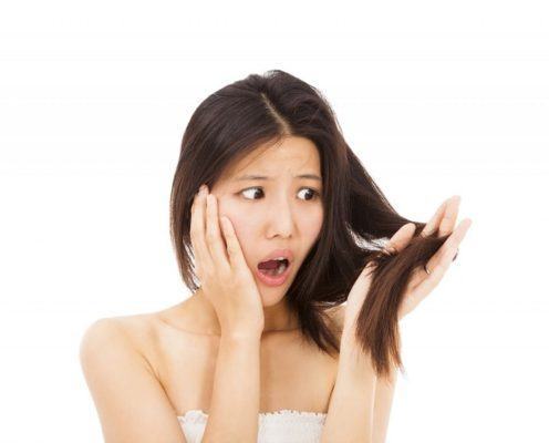 Có nhiều nguyên nhân khiến tóc khô xơ cứng